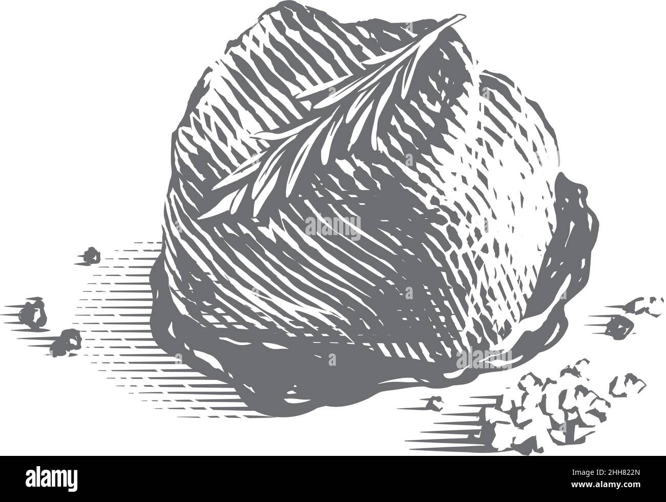 carne bistecca mignon disegno a mano disegno schizzo incisione stile illustrazione Illustrazione Vettoriale