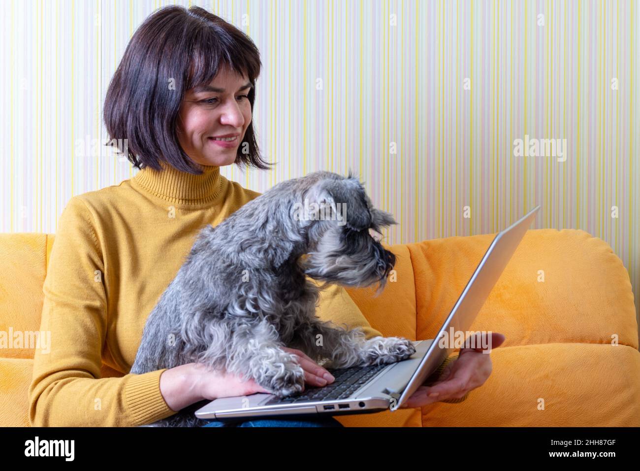 Donna di affari caucasica e il suo cane da compagnia che sta digitando sul portatile in ufficio a casa. Donna di mezza età che lavora su un notebook a casa. Concetto di ufficio domestico. Rimani a casa Foto Stock
