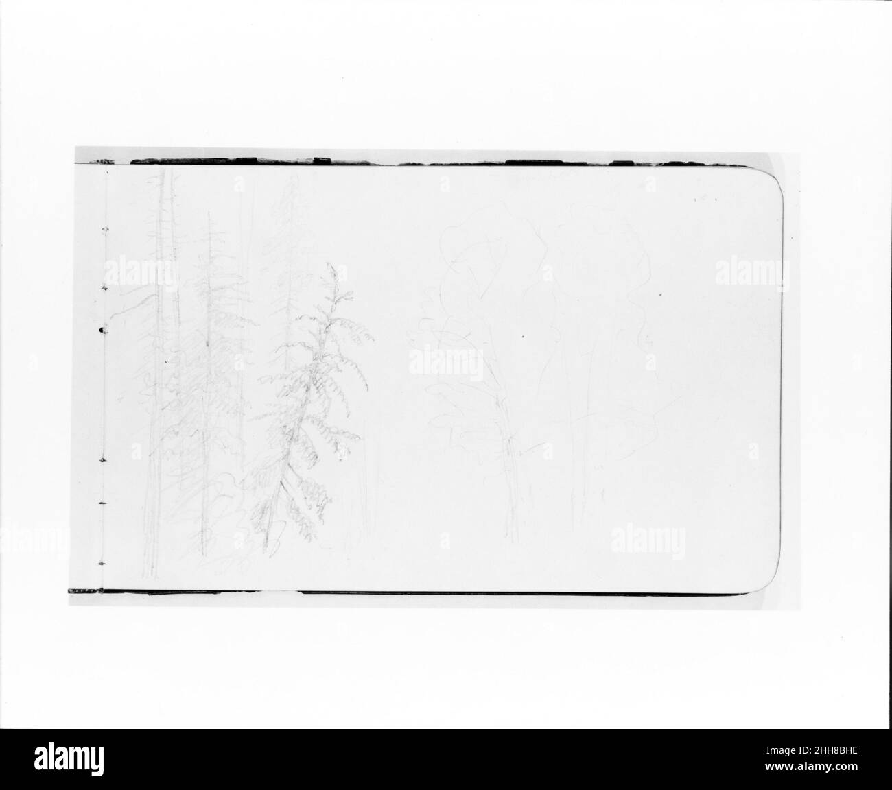Albero Paesaggio (da Sketchbook) 1890 Albert Bierstadt americano. Albero orizzontale (da Sketchbook). Albert Bierstadt (americano, Solingen 1830–1902 New York). Americano. 1890. Grafite su carta strizzata Foto Stock