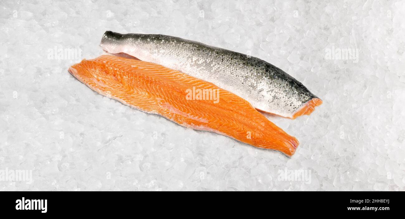 Salmone crudo filetti di pesce su Icei solati su sfondo bianco Foto Stock