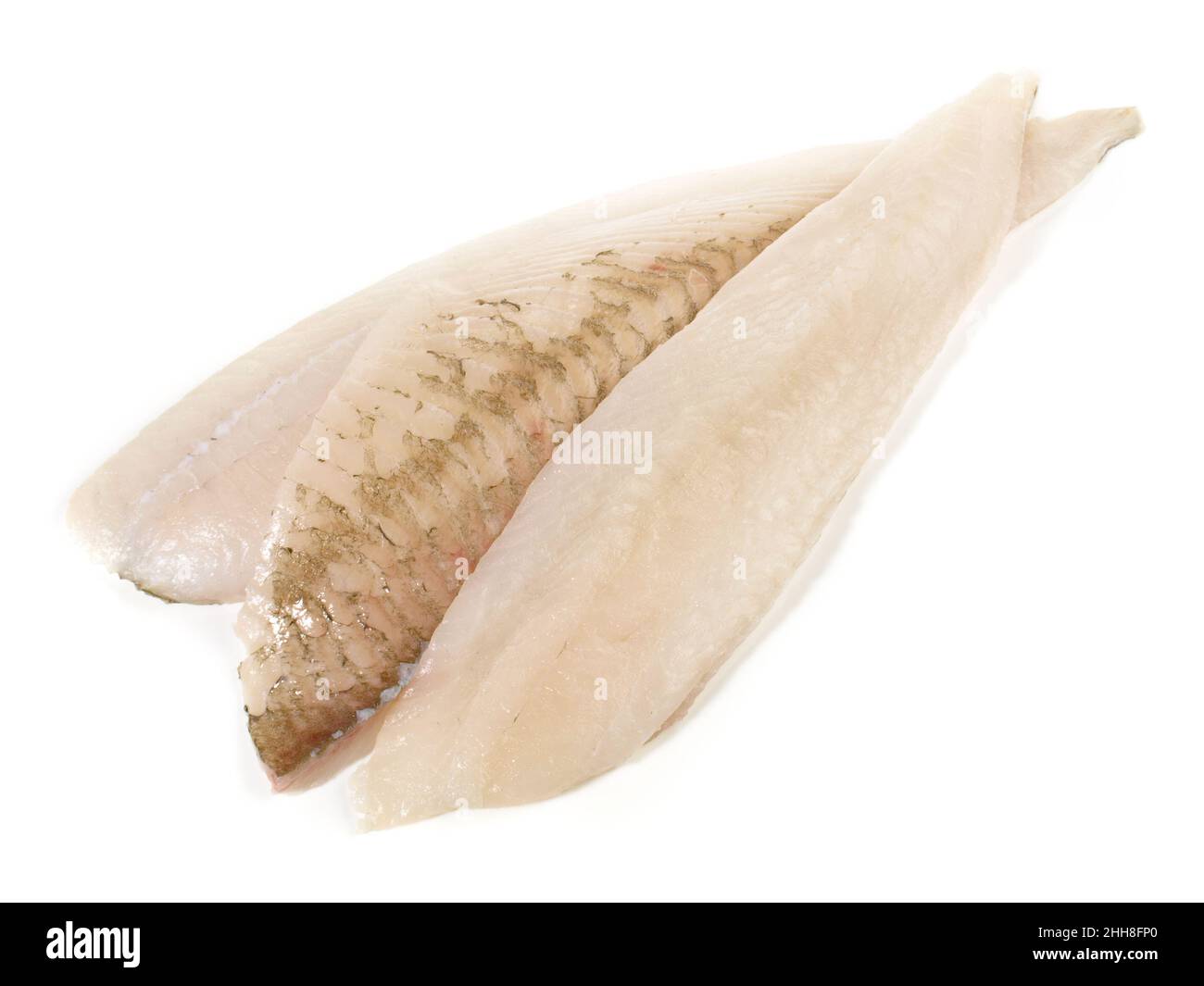 La Passera di mare Filetti di pesce su sfondo bianco Foto Stock