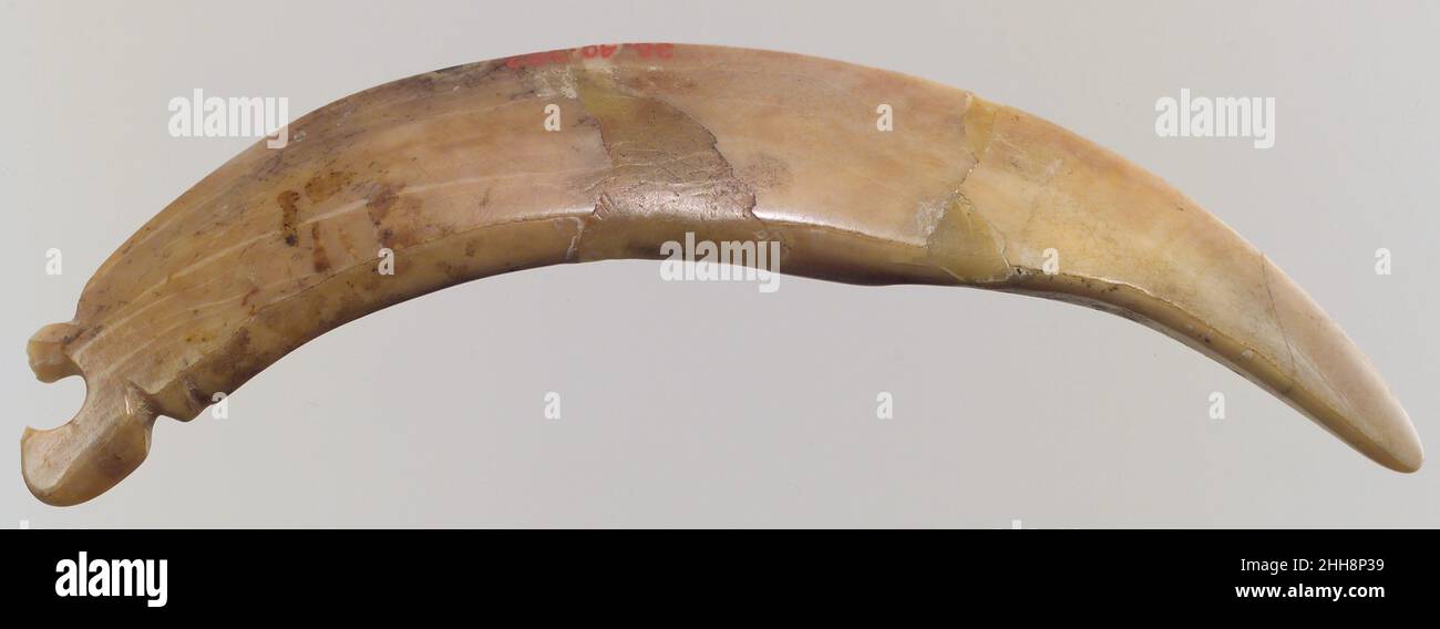 Attrezzo 5th–3rd millennio a.C. (?) Iran questo strumento osseo, probabilmente utilizzato nella produzione tessile o nella lavorazione della pelletteria, è stato scavato nel 1937 in un sito preistorico nelle vicinanze di Nishapur, nel nord-est dell'Iran. Mentre lo stesso Nishapur fu fondato dal re Sasaniano Shapur i (regnò ca. 241-272), questo strumento dimostra che l'abitazione umana risale al periodo preistorico. Inoltre, la ceramica preistorica di Nishapur ha strette affinità con i materiali ceramici provenienti dall'Asia centrale piuttosto che con i siti contemporanei in Iran, il che significa che in questo periodo i suoi abitanti erano probabili Foto Stock