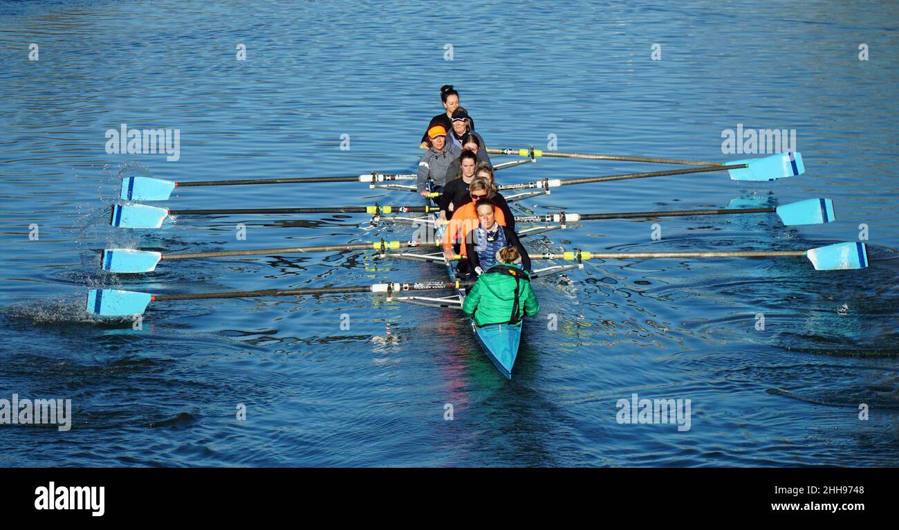 Ladies Coxed otto canottaggio squadra pratica sul fiume Ouse. Foto Stock