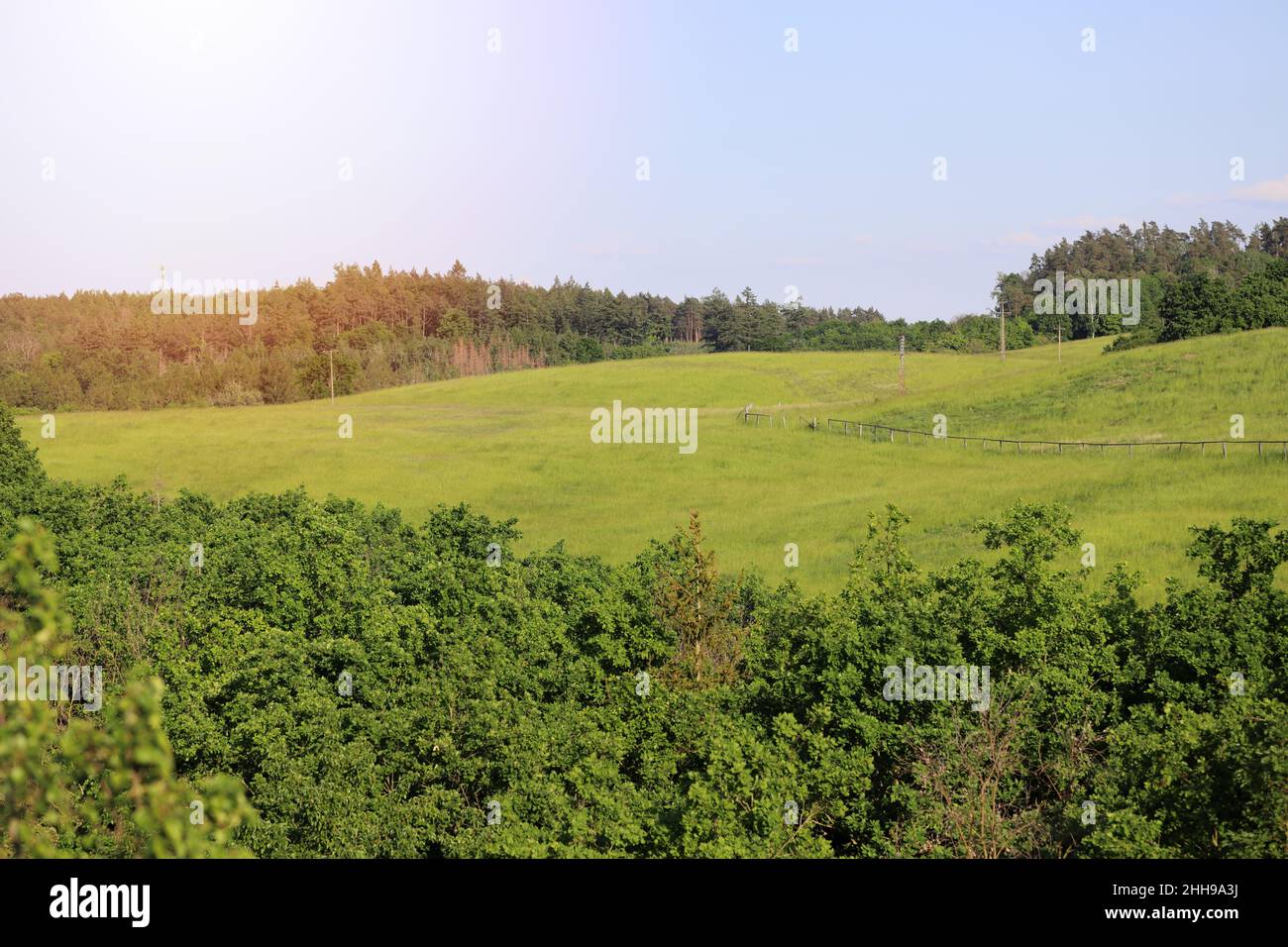 prato erboso su collina in estate. natura incantevole Foto Stock