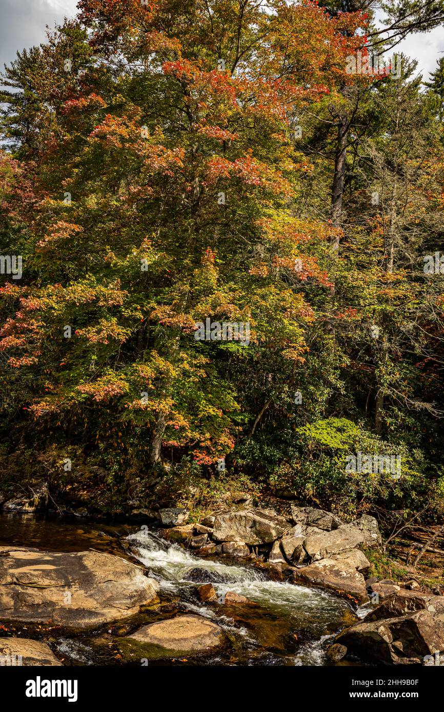 Le cascate di Linville sono le più famose e popolari delle Blue Ridge Mountains grazie alla sua vicinanza alla Blue Ridge Parkway. Foto Stock