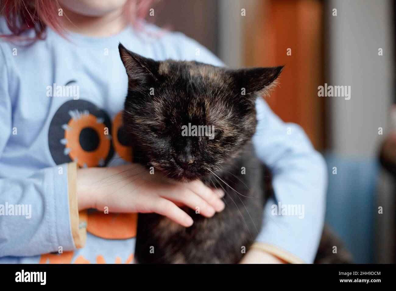 Ritratto di adorabile ragazza caucasica tenendo cute gatto nero. Foto Stock