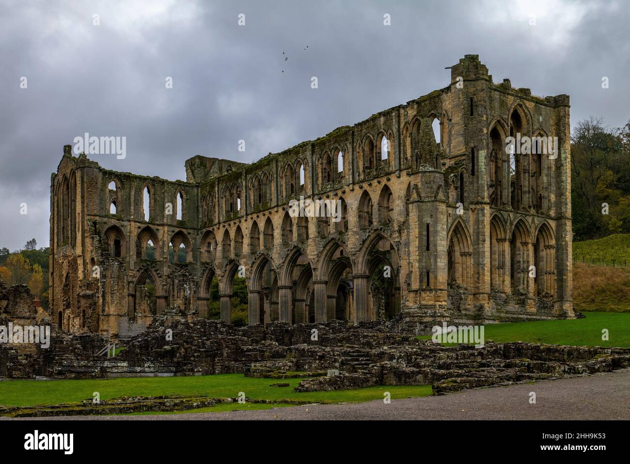 RIEVEAULX ABBEY [CISTERCENSE] (1132-1538) HELMSLEY INGHILTERRA REGNO UNITO Foto Stock