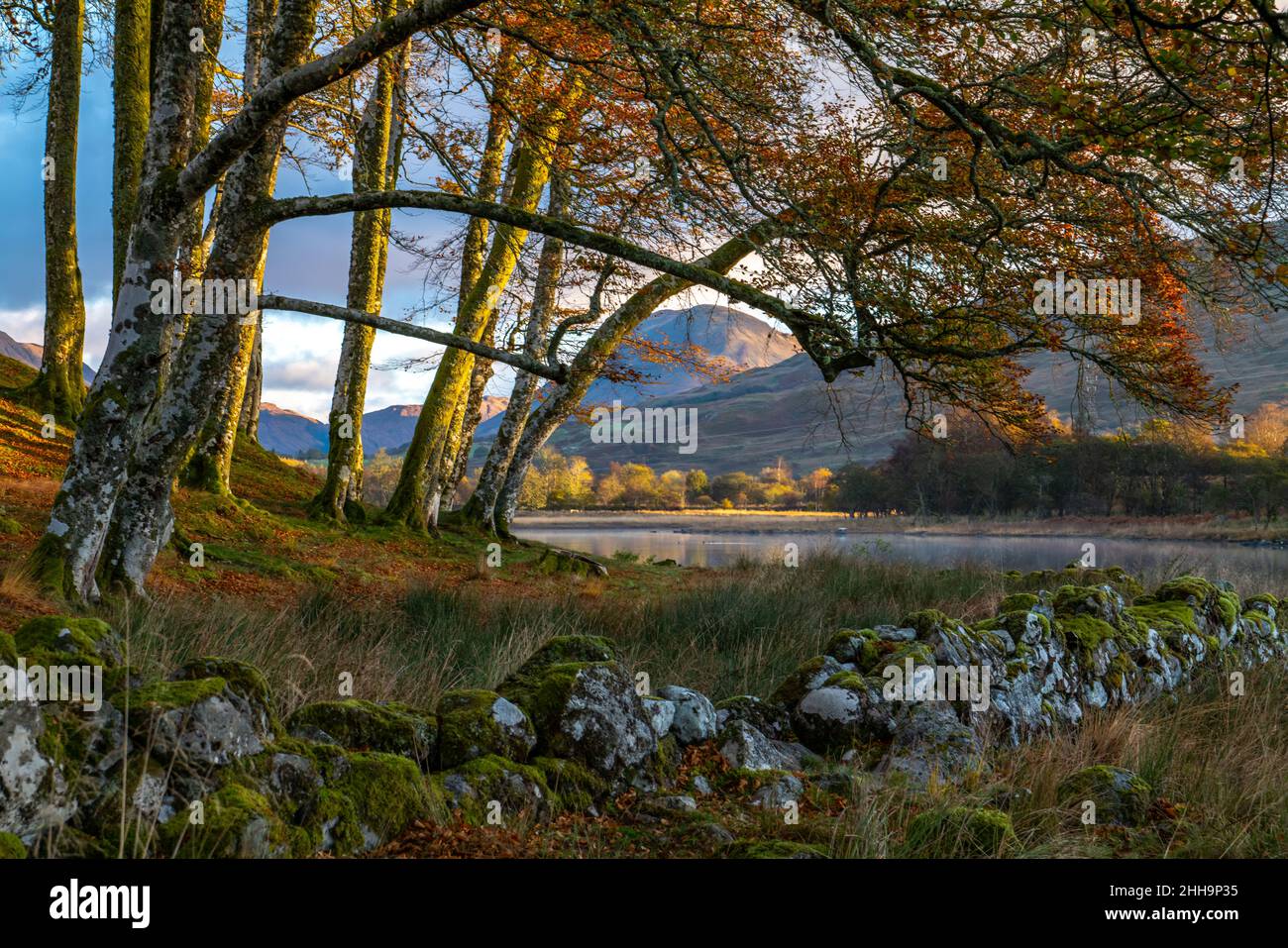 LOCH AWE DALMALLY SCOZIA REGNO UNITO Foto Stock