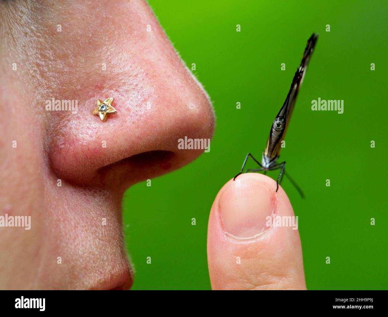 Primo piano di una farfalla di Glasswing (Greta oto) poggiata su un dito e sul naso a Vilcabamba, Ecuador. Foto Stock