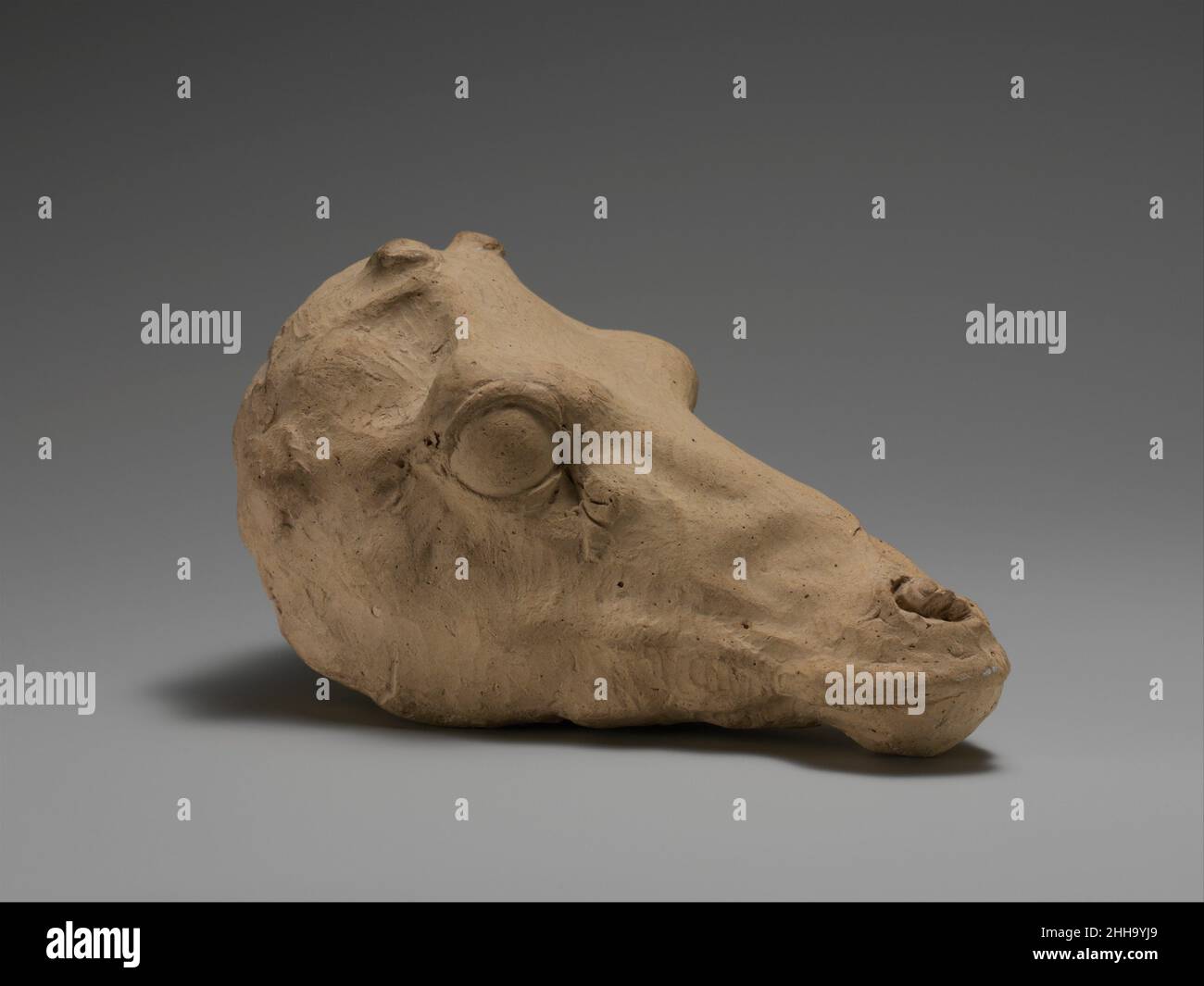 Terracotta testa di cervo 4th sec. a.C. Greco, Italiano del Sud, Tarentino questa rappresentazione straordinariamente sensibile fu probabilmente una patrix, il modello da cui furono prese le muffe per realizzare vasi figurali a forma di testa di cervo. Tali rima erano comuni nella ceramica pugliese e si possono vedere tra i vasi pugliesi nelle vicinanze. Testa di terracotta di cervo 248411 Foto Stock