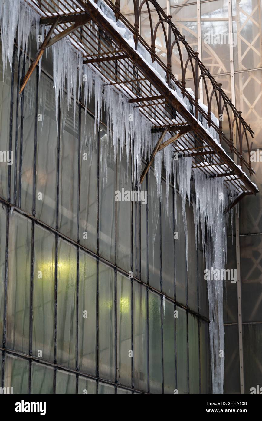 Glasshouse coperto di ghiaccioli. Orangery in inverno con lampade uv phyto luminose all'interno Foto Stock