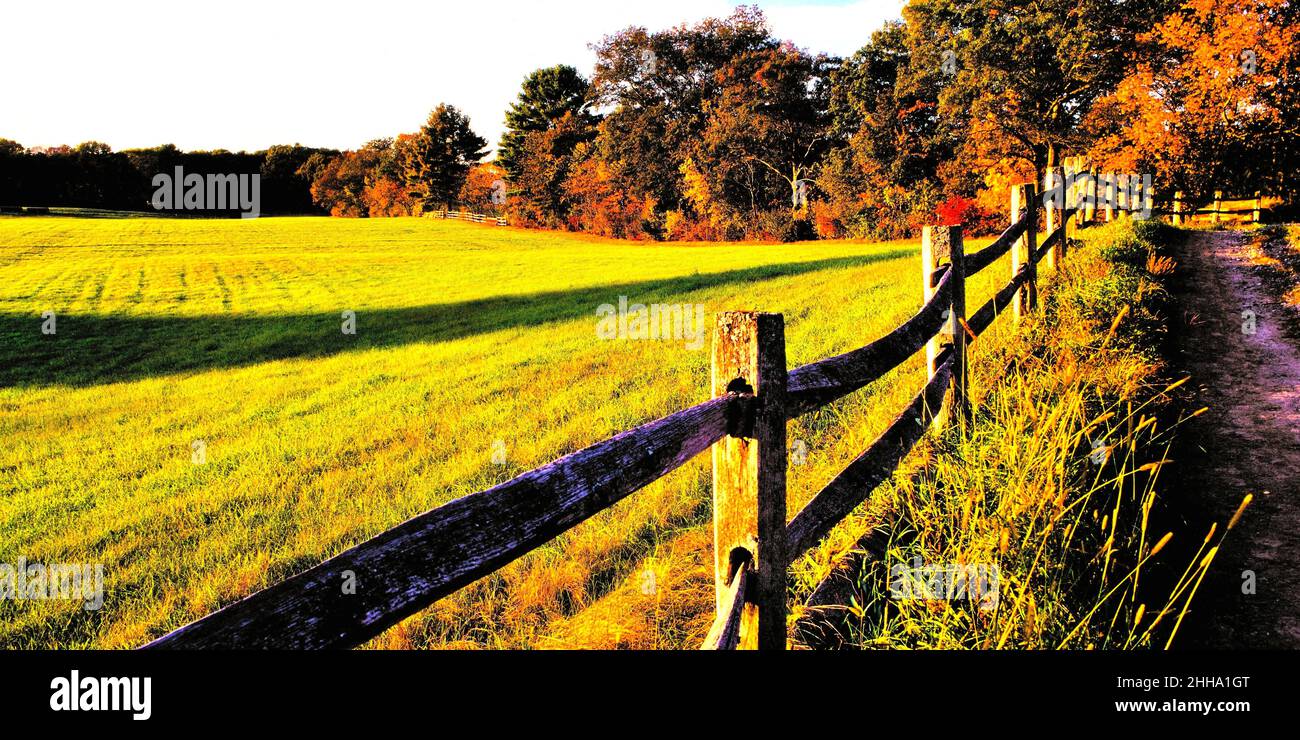 Campo e recinzione del New England in luce estiva sbiadente Foto Stock