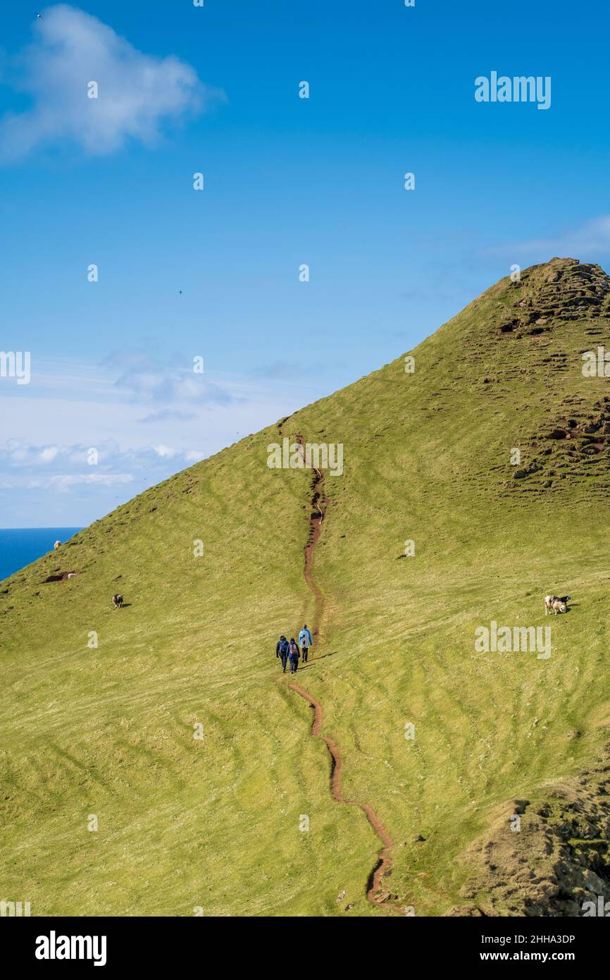 L'erba verde lime e il cielo blu brillante rubano lo spettacolo mentre questi tre escursionisti affrontano una ripida pendenza. Foto Stock