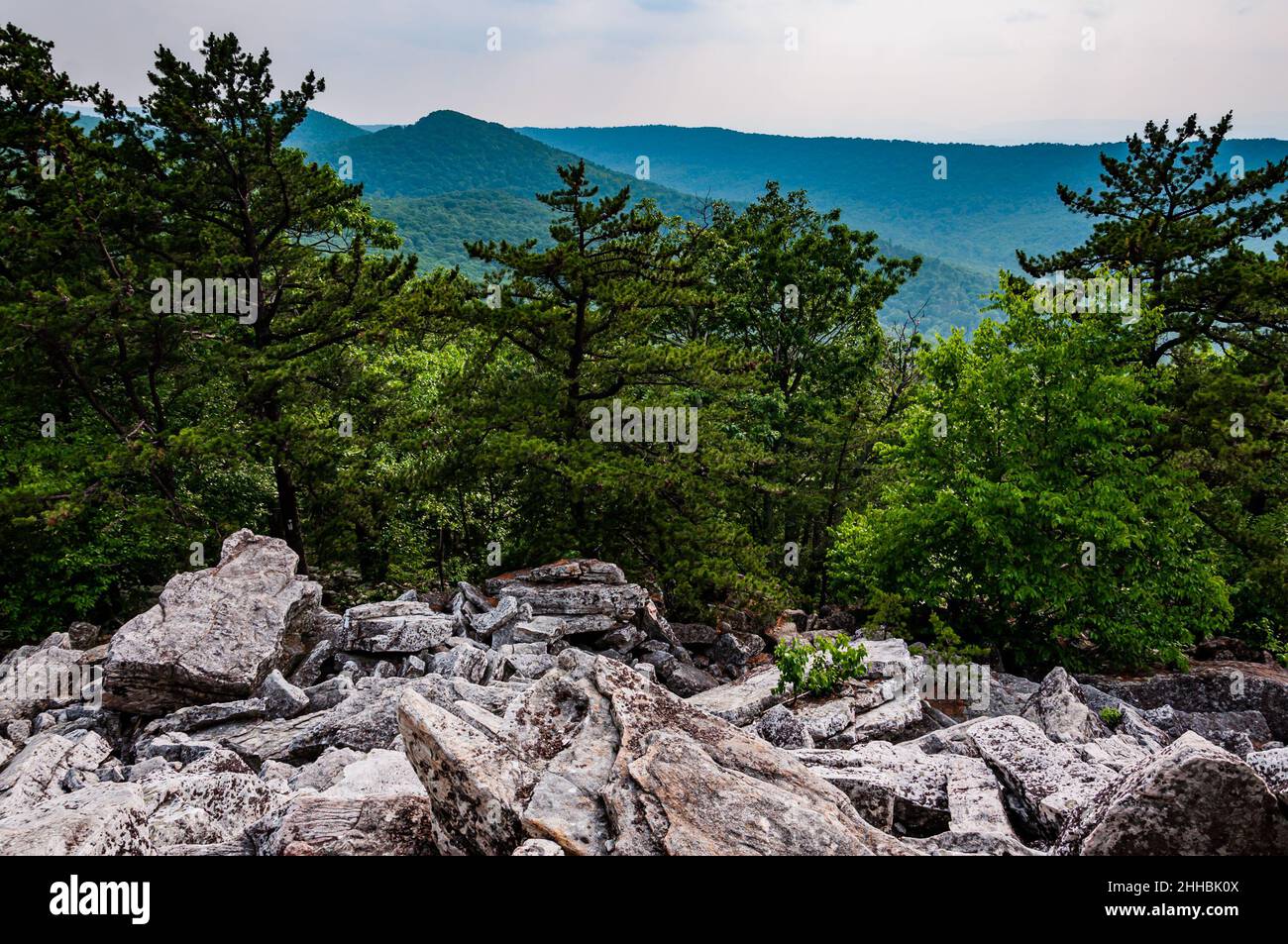 Foto del George Washington National Forest Hiking Trail, Virginia USA Foto Stock