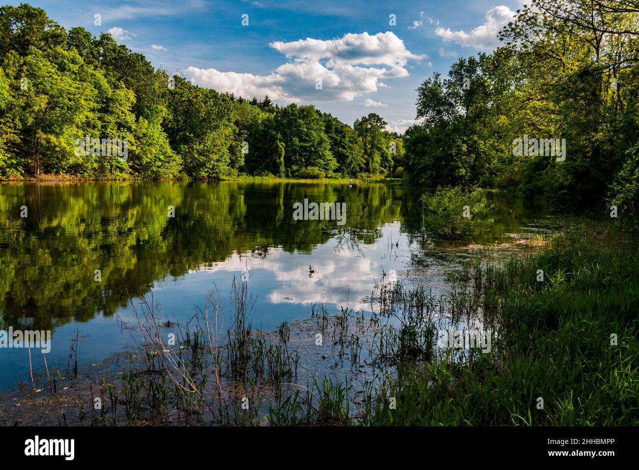 Lago Marburg, Codorus state Park, Pennsylvania Foto Stock