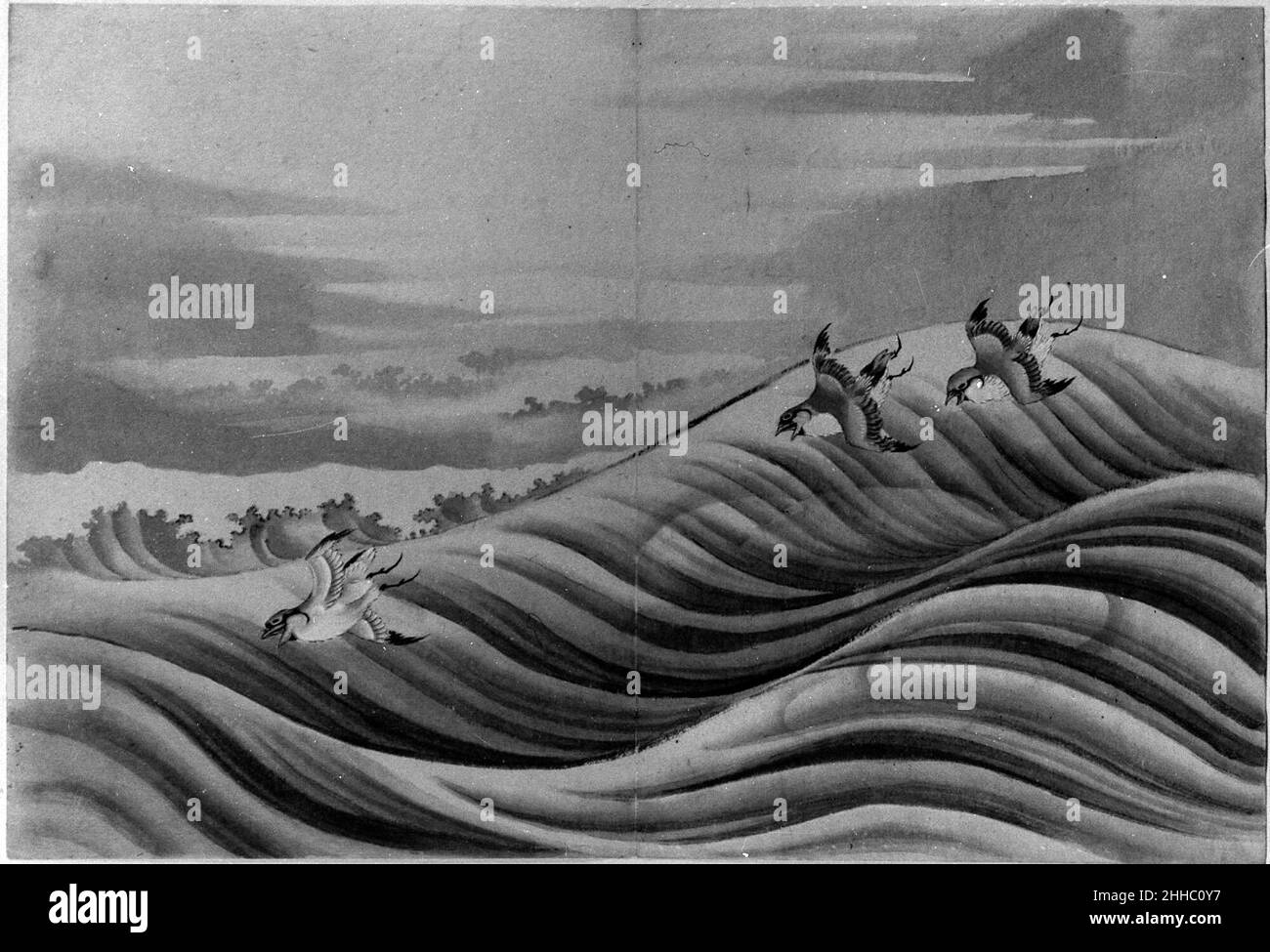 Chidori Birds 18th–19th Century School of Katsushika Hokusai Japanese. Chidori Uccelli 57273 Foto Stock