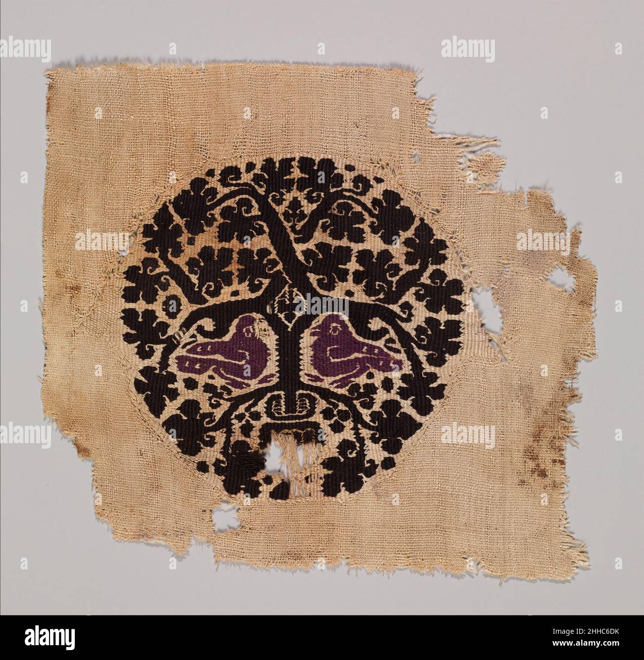 Orbiculus (roundel) con Grapevine abitata da due uccelli Purple emergenti da una Pot 5th–7th secolo tuniche e arredi domestici sono stati spesso decorati con orbiculi e tabulae (medaglioni rotondi e quadrati), spesso disposti a coppie. Uccelli e rotoli di vite erano motivi popolari di abbondanza, il cui uso continuò dal mondo classico all'arte bizantina e islamica successiva. Su questo orbiculus gli uccelli di lavanda abitano un elaborato rotolo di vite che cresce da una pentola parzialmente distrutta alla base del disegno.. Orbiculus (roundel) con uva abitata da due uccelli Purple emergenti da Foto Stock