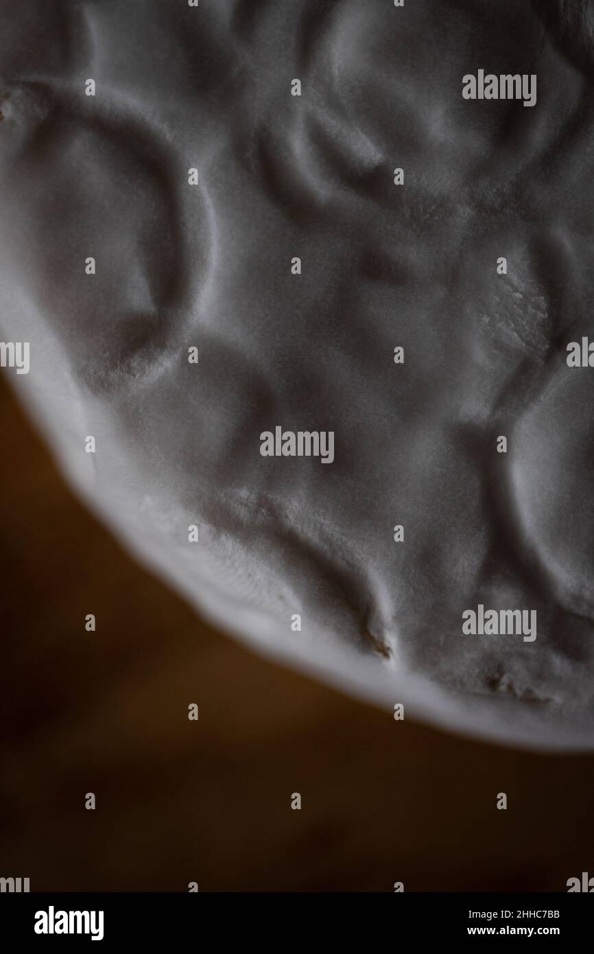 Formaggio fatto in casa con muffa bianca. Foto macro. Vista dall'alto. Foto Stock