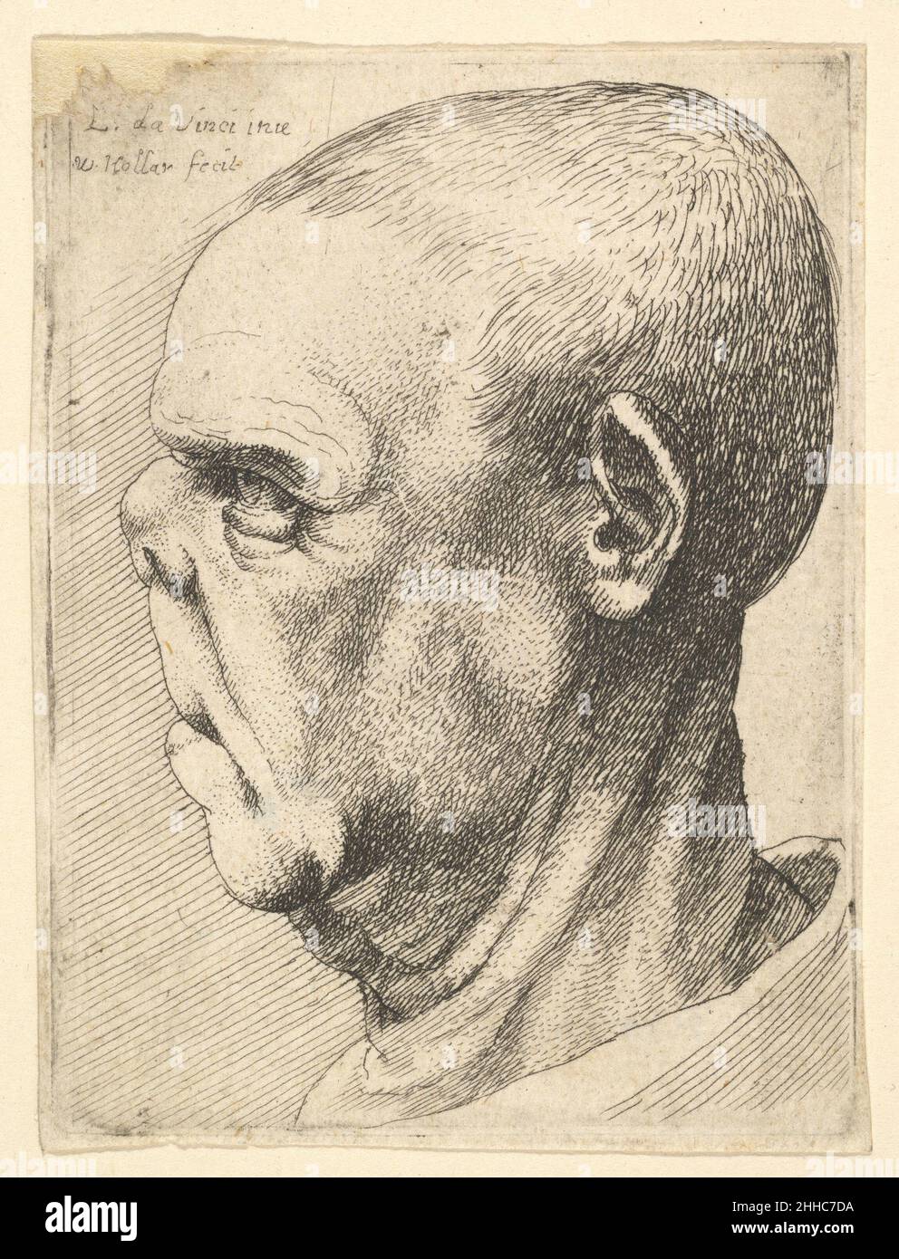 Grotesque vecchio con naso appiattito in profilo a sinistra 1644–52 Venceslao Hollar Boemia vecchio grottesco con naso appiattito in profilo a sinistra, dopo Leonardo da Vinci. Uomo vecchio grottesco con naso appiattito in profilo a sinistra 360794 Foto Stock