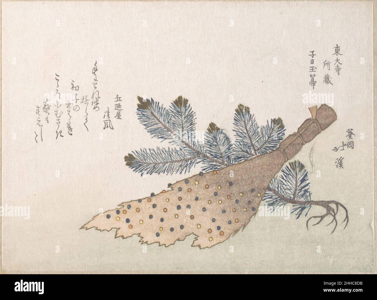Giovane albero di pino e scrigni Totoya Hokkei giapponese. Pino giovane e scrigni 55101 Foto Stock