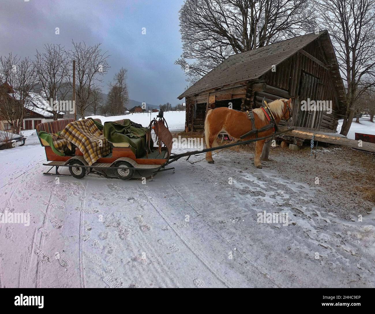 Un cavallo si è arroccato su una slitta nel villaggio austriaco Foto Stock