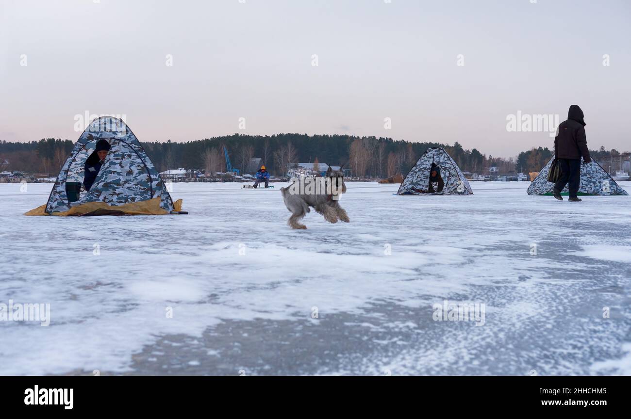 Novosibirsk Russia - 13 marzo 2020: Pesca invernale in Siberia - tende di pescatore su ghiaccio del giacimento di ostetricia a Novosibirsk, Siberia, Russia Foto Stock
