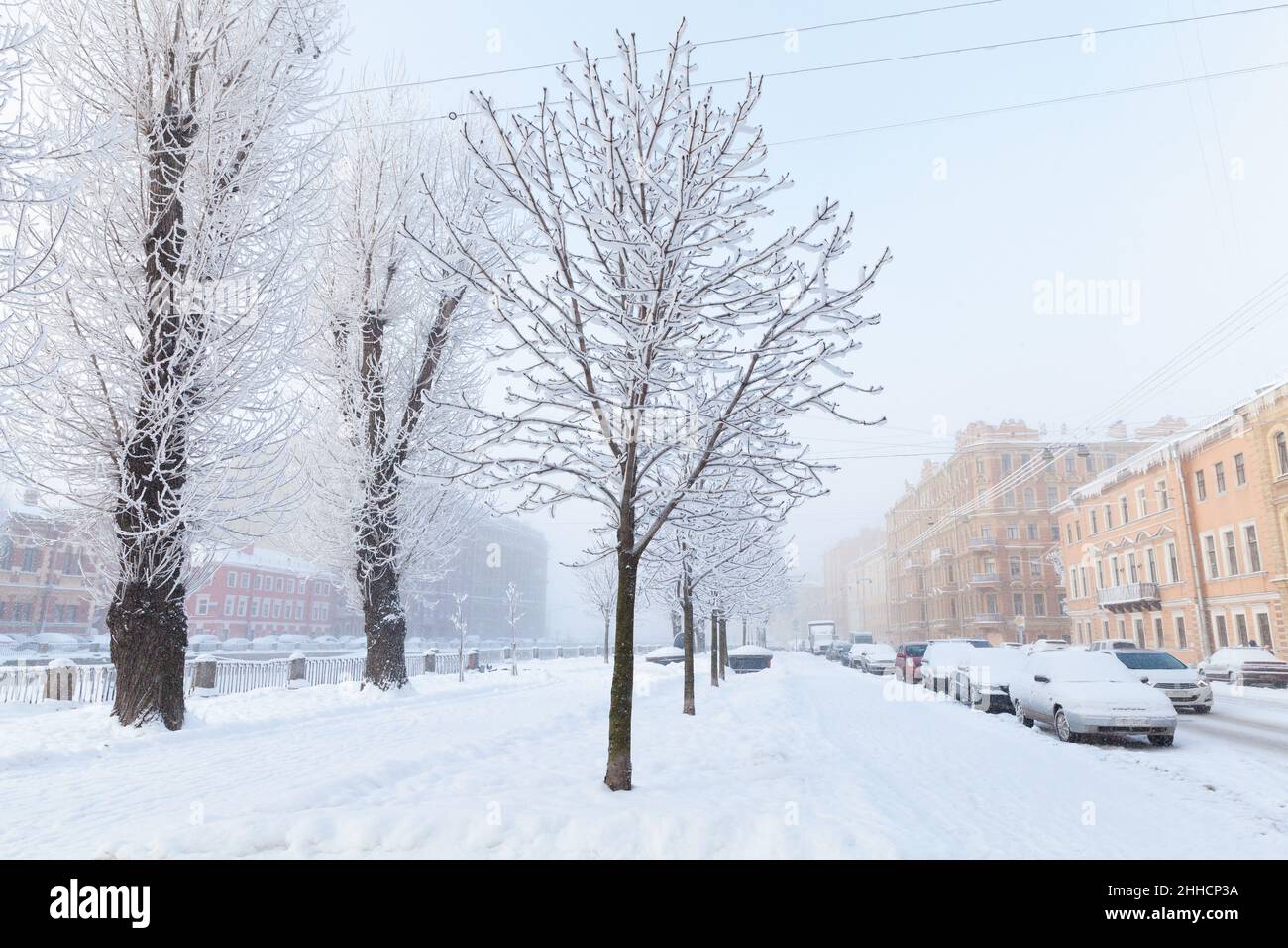 Inverno a San Pietroburgo, Russia. Gli alberi innevati e le auto parcheggiate si trovano sulla costa del canale Griboedov Foto Stock