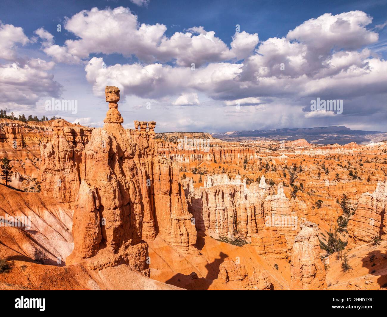 Thor il martello, la più famosa del thouisands di hoodoos nel Parco Nazionale di Bryce Canyon, Utah. Foto Stock