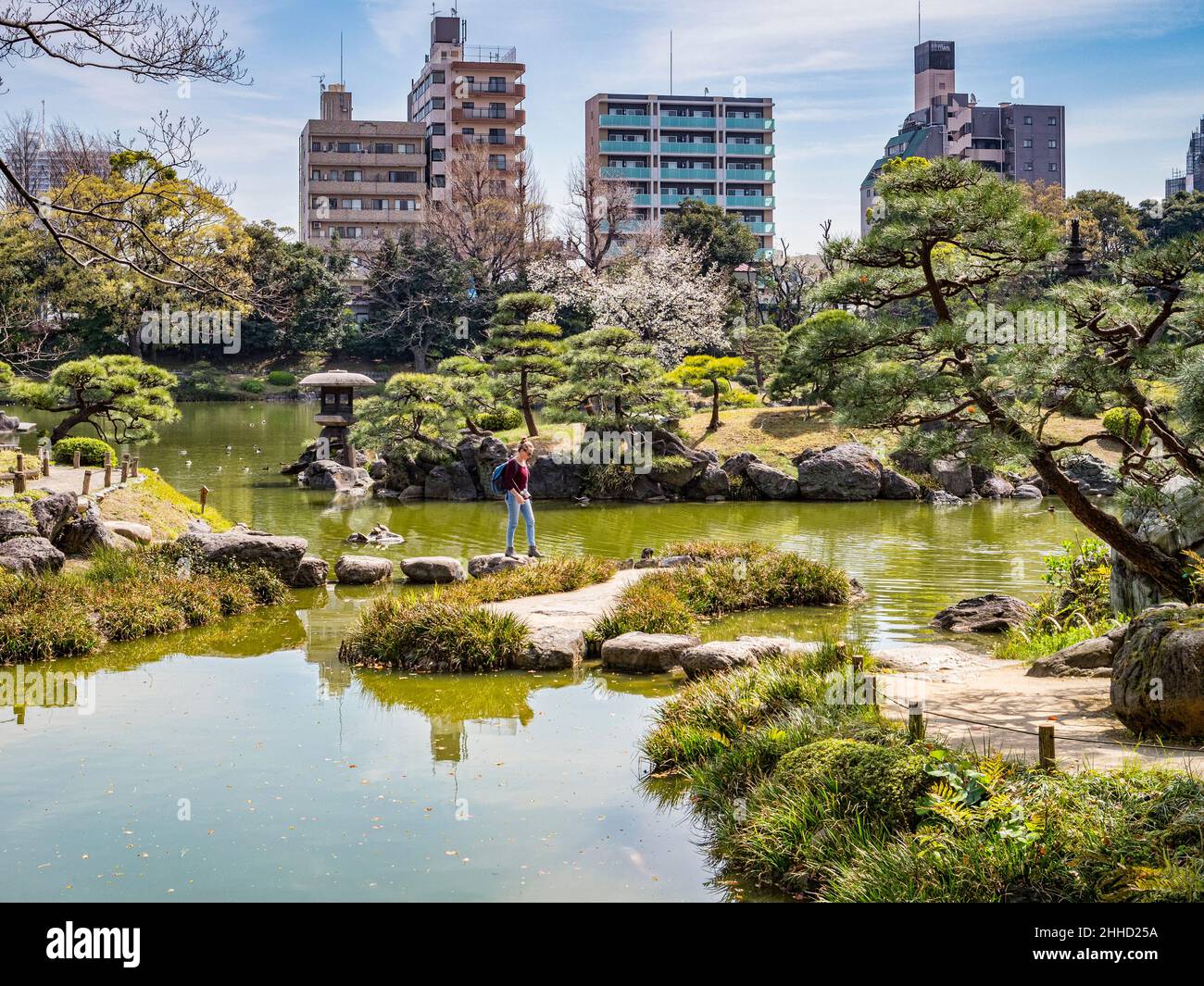 5 aprile 2019: Tokyo, Giappone - giovane donna che attraversa il lago nei giardini Kyu-Shiba-rikyu, un giardino paesaggistico in stile tradizionale nel centro di Tokyo. Foto Stock