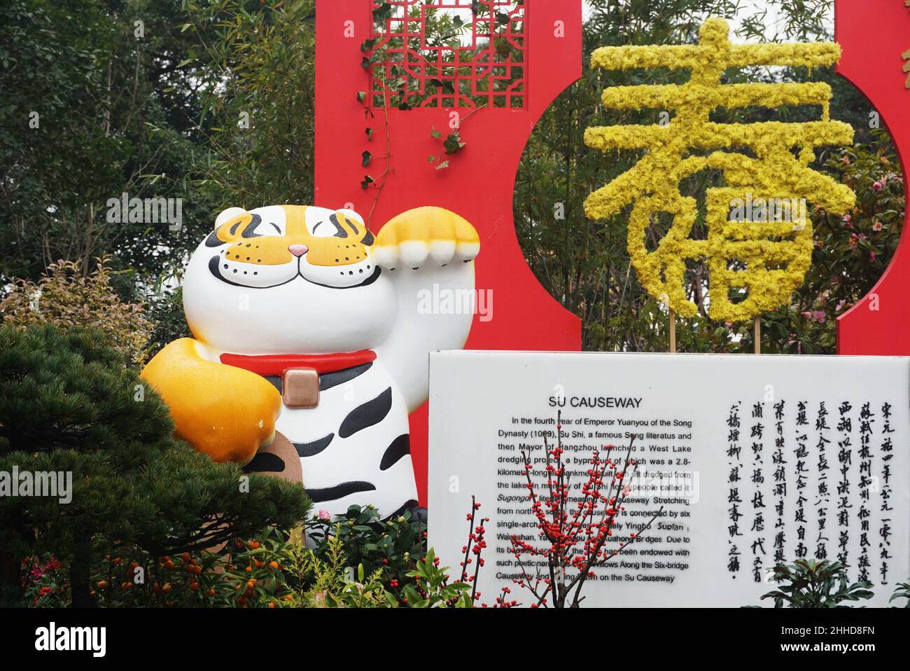 Hangzhou, Hangzhou, Cina. 24th Jan 2022. Il 24 gennaio 2022, la scultura del cartoon cinese Zodiac ''cute Tiger'' è stata fotografata dal Lago Ovest di Hangzhou.recentemente, nel letto di fiori ''fu Hu Ying Chun''' vicino al Lago Ovest di Hangzhou, Tre simpatici cartoni animati cinesi Zodiac 'Meng Hu'' hanno attirato molti cittadini e turisti a fermarsi per scattare foto e punch-in per dare il benvenuto al prossimo anno lunare cinese della tigre. (Credit Image: © SIPA Asia via ZUMA Press Wire) Foto Stock