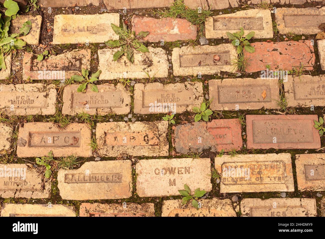 Un percorso posato utilizzando mattoni recuperati ciascuno con il nome di un costruttore, Inghilterra, Regno Unito Foto Stock
