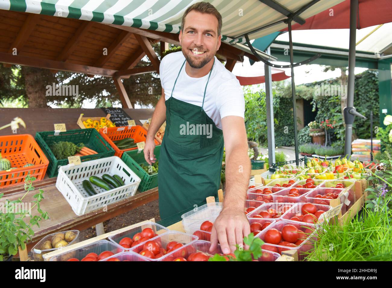 Agricoltore vende frutta e verdura dalla sua coltivazione fresco dal campo e dalla serra Foto Stock