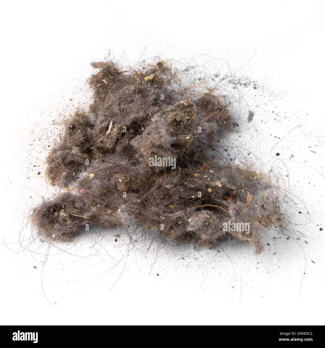 Un mucchio di rifiuti e polvere è stato rimosso da un aspirapolvere isolato su bianco Foto Stock