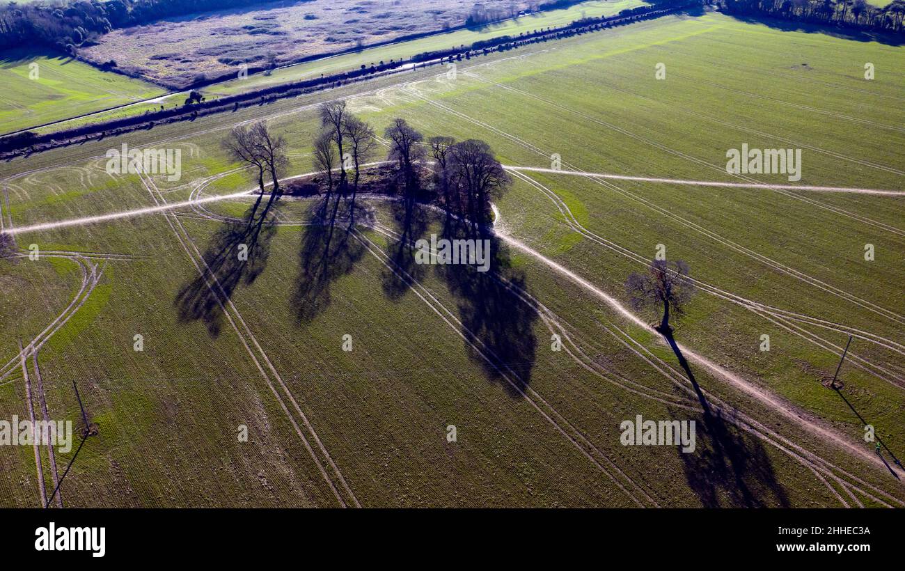 Winter Aerial immagine degli alberi e delle loro ombre in un campo, Coldblow Farm, Ripple, Kent Foto Stock