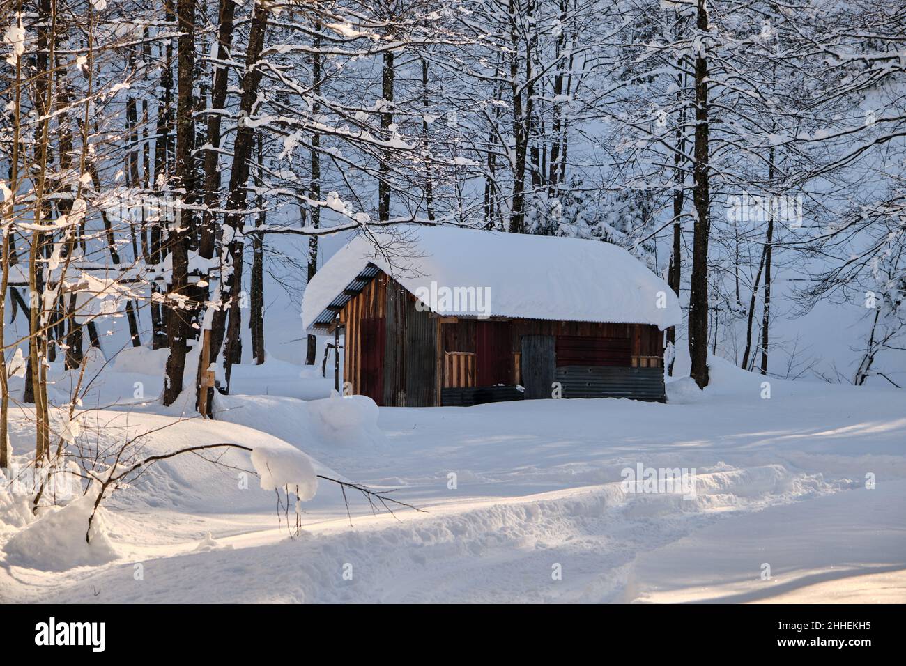 Casa del villaggio, foto d'inverno, neve coperta ovunque e tetto di casa in inverno e foto di neve bianca. Foto Stock