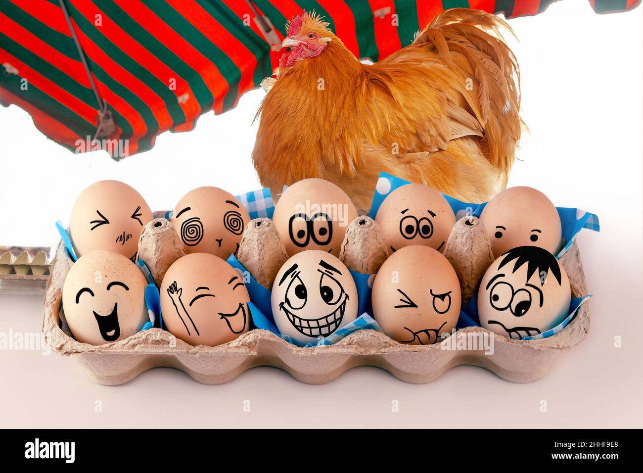 Uova con facce diverse in eggbox e un Orpington Hen, Rooster come pubblicità. Tipi di temperamenti. Sanguinose, coleriche, arrabbiate, flemmatiche Foto Stock