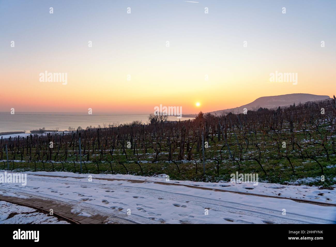 Bellissimo paesaggio invernale della collina di Badacsony vicino al lago Balaton dall'alto con un vigneto follia arboreto Foto Stock
