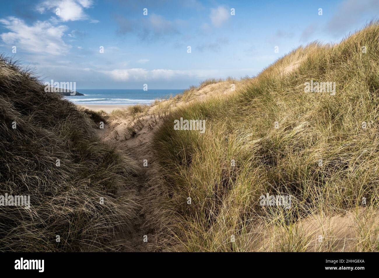 Luce dorata alla fine della giornata per gravi danni causati dall'attività umana al fragile sistema di dune di sabbia a Crantock Beach a Newquay Foto Stock