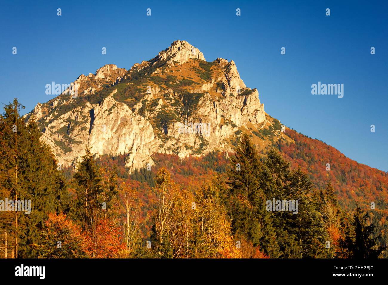 Grande collina Rozsutec in un parco nazionale Mala Fatra nella stagione autunnale, Slovacchia, Europa Foto Stock