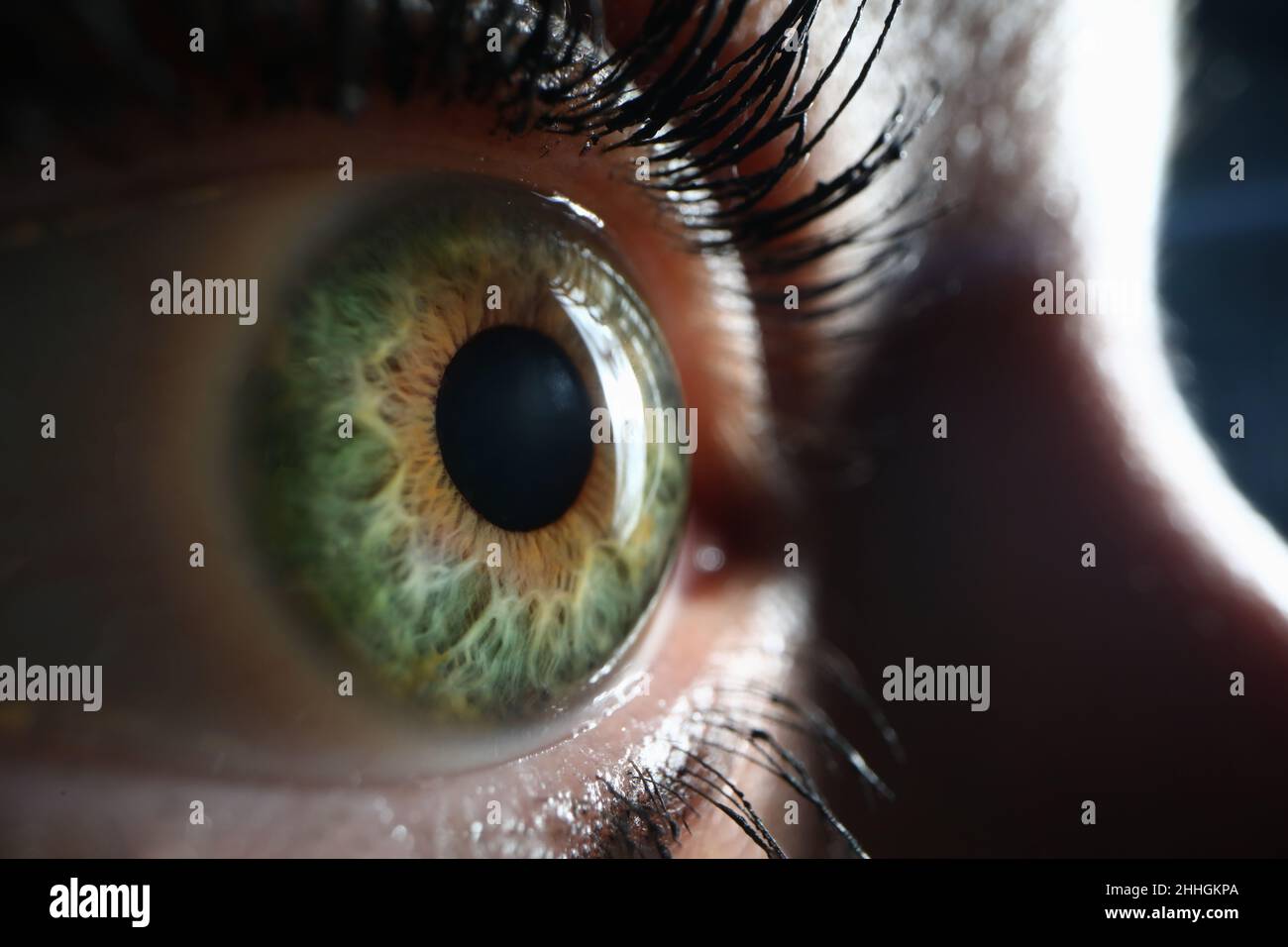 Donna un primo closeup occhi verde grigio. Miopia di lungimiranza Foto Stock