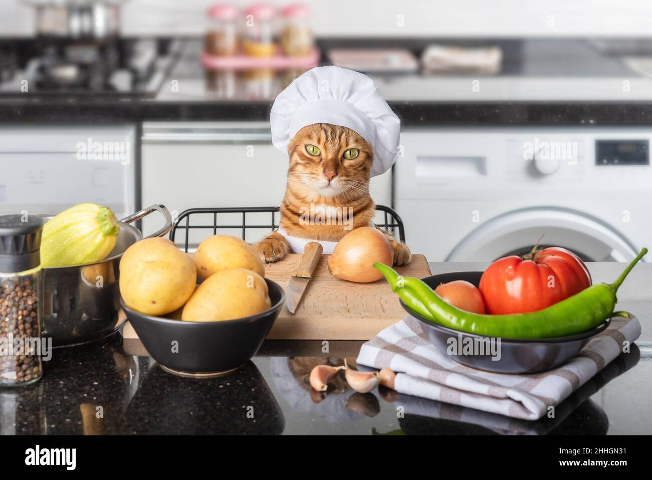 Lo chef gatto siede al tavolo da cucina in un cappello da chef. Foto Stock