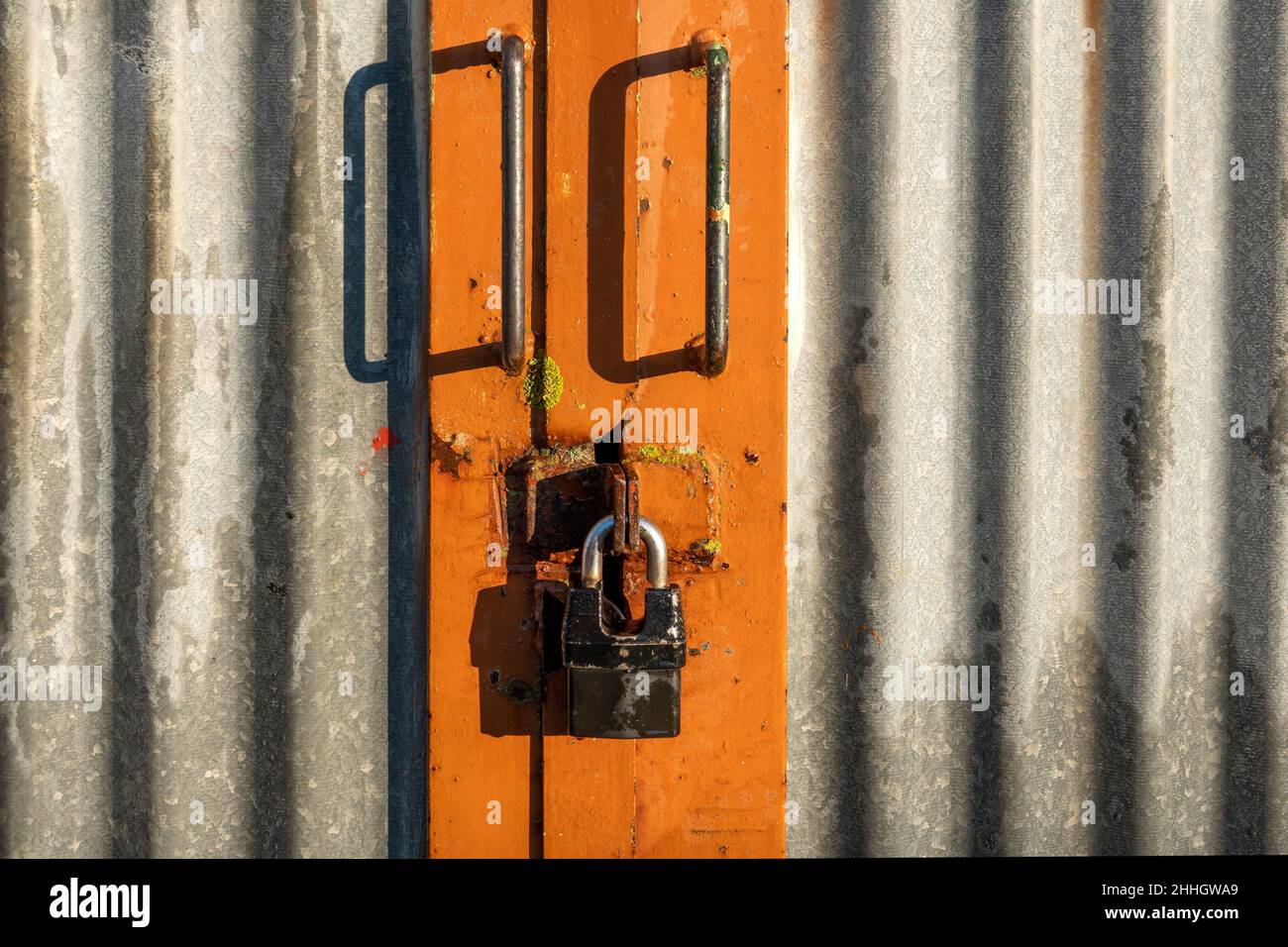 Pannelli in ferro corrugato nella porta dell'edificio agricolo con maniglie e lucchetto Foto Stock