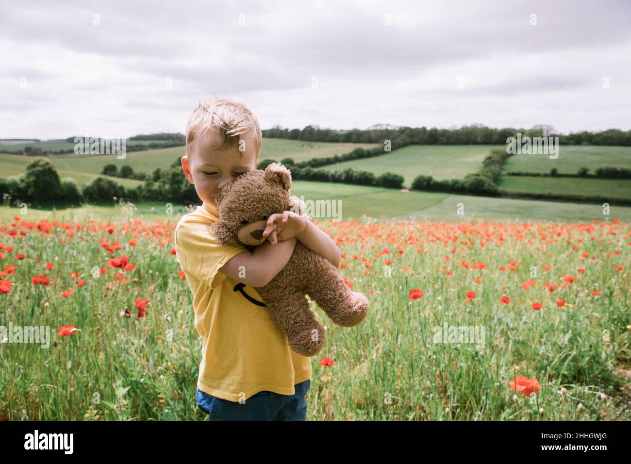 Ragazzo che abbraccia orsacchiotto in campo papavero Foto Stock