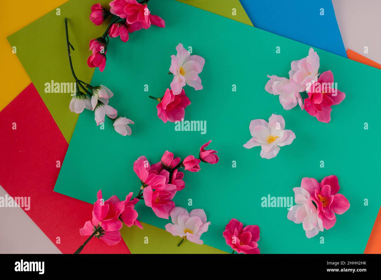 Immagine di sfondo colorato con vari cartoni rettangolari, fiori su di esso, rosa, bianco, rosa tenue. Sfondo romantico e gioioso. Foto Stock