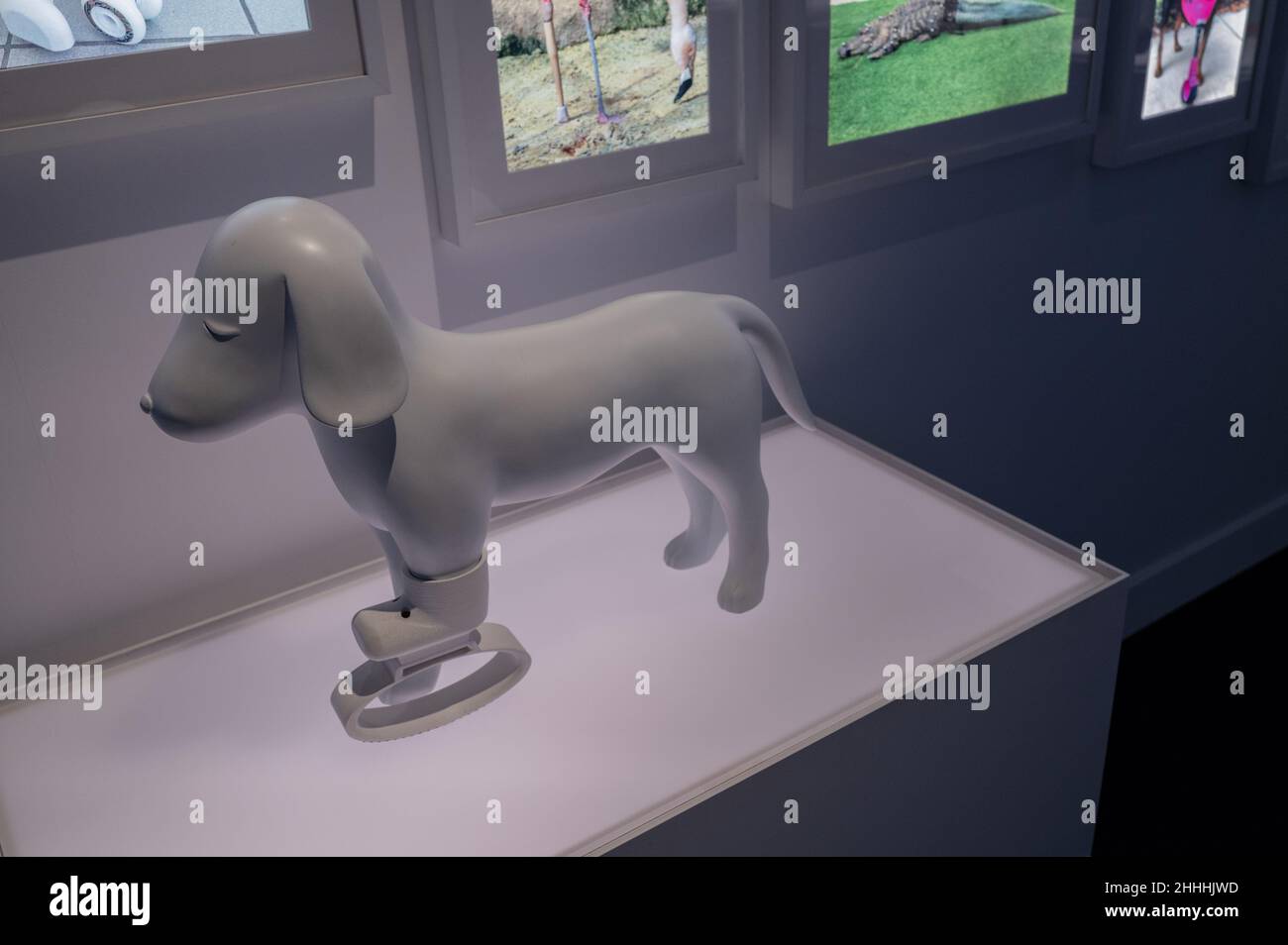 3D protesi stampata per cane di LOWPOLY. Print3D Itinerario mostra sui numerosi usi della stampa del 3D, tra cui salute, moda e contro Foto Stock
