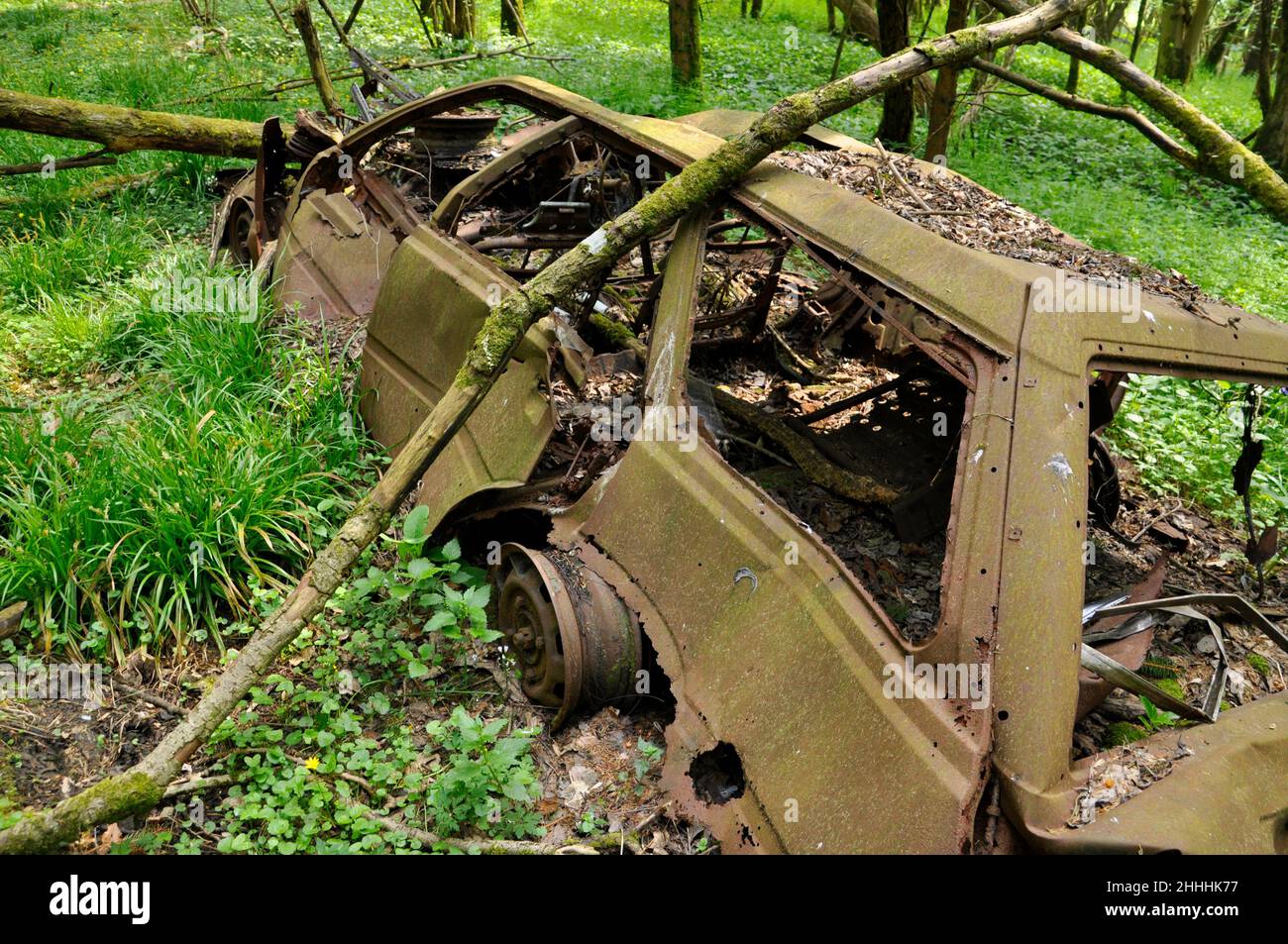 Un'auto relegata in un bosco in primavera.Burntout e abbandonato per arrugginire via in un bosco tranquillo nel Somerset Countryside.Witham Friary. Somerset.UK. Foto Stock