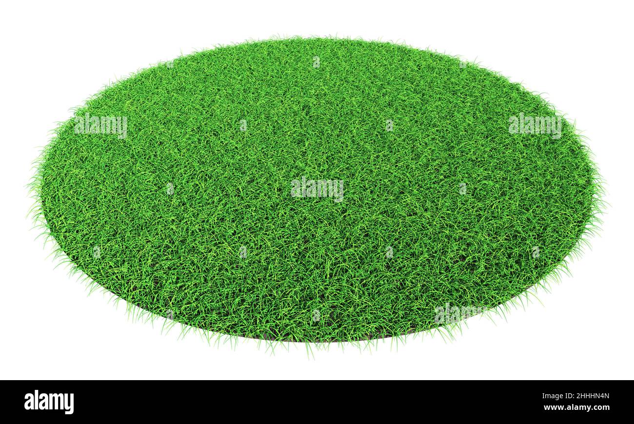 Forma dell'erba - elemento di design isolato - rendering 3D Foto Stock