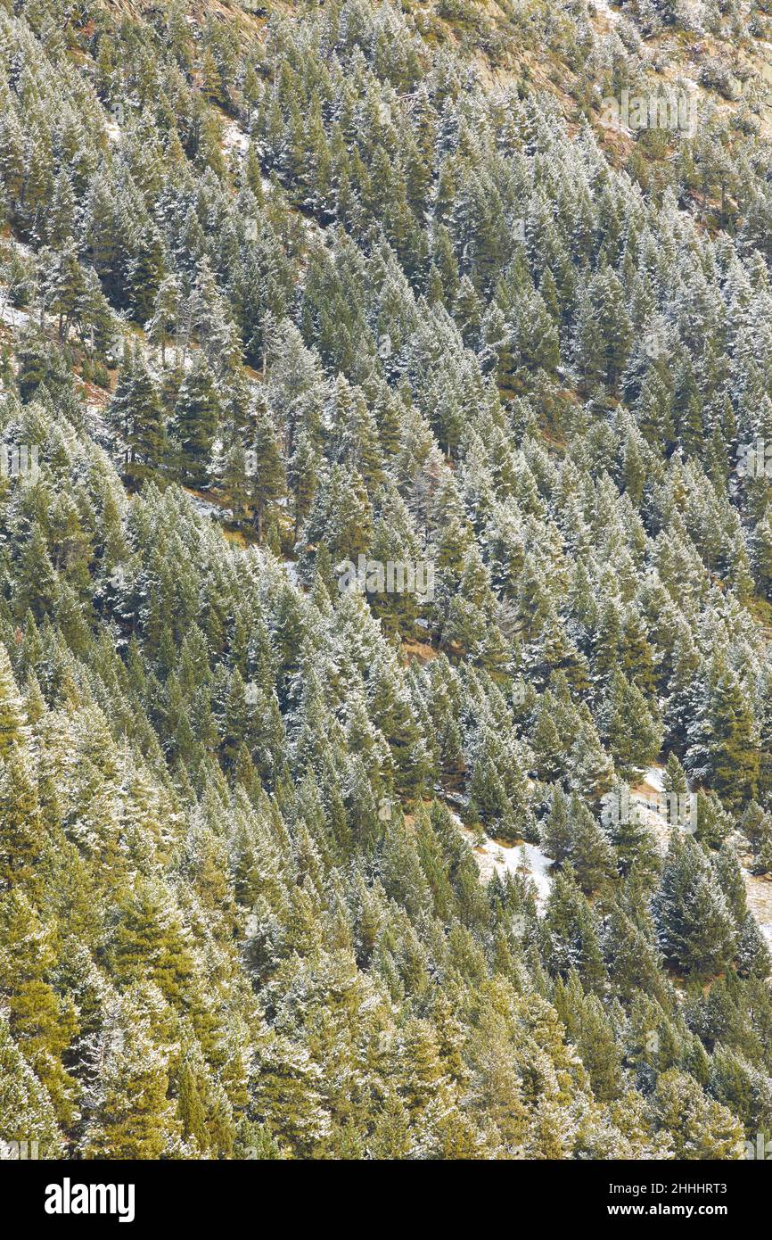 Parque Natural Posets Maladeta (Pirineo de Huesca) Spagna Foto Stock