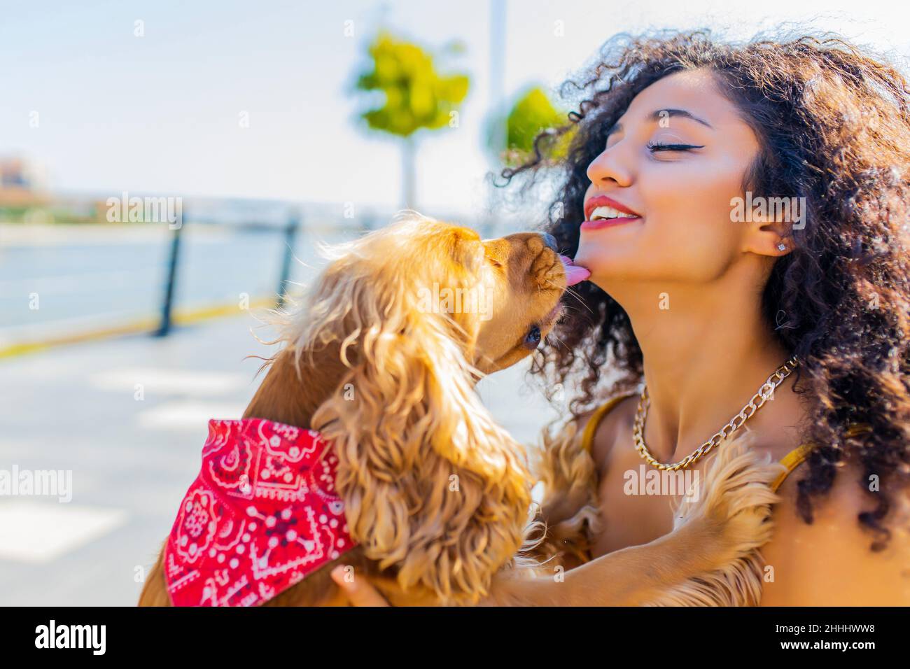 Allegra donna dai capelli ricci lunghi e scuri con cane coccatore americano che gioca nel parco estivo Foto Stock