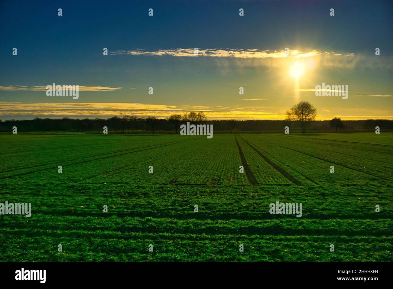 Tramonto sul campo con colori forti Foto Stock